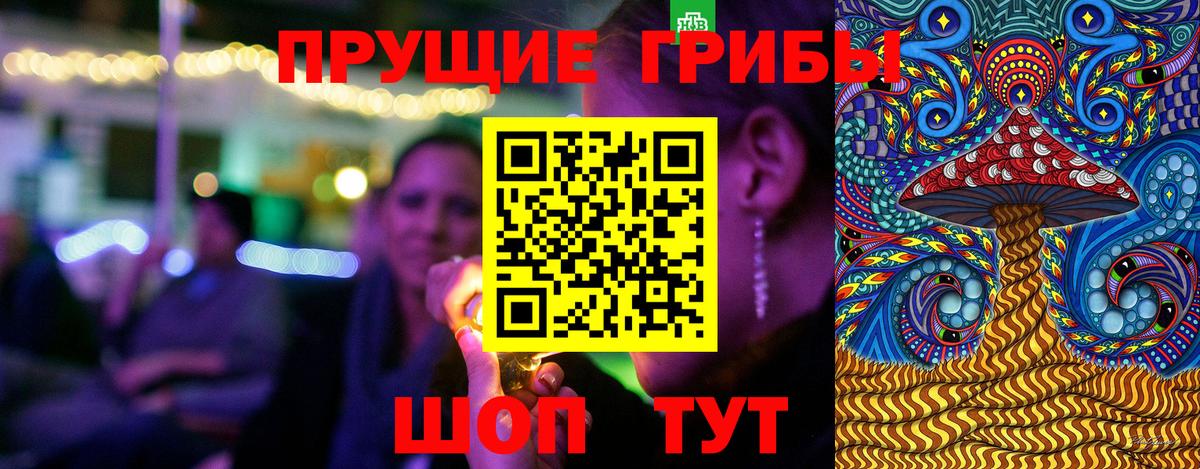 Чебаркуль  Псилоцибиновые грибы Magic Shrooms  магазин продажи наркотиков  Вход с VPN 
