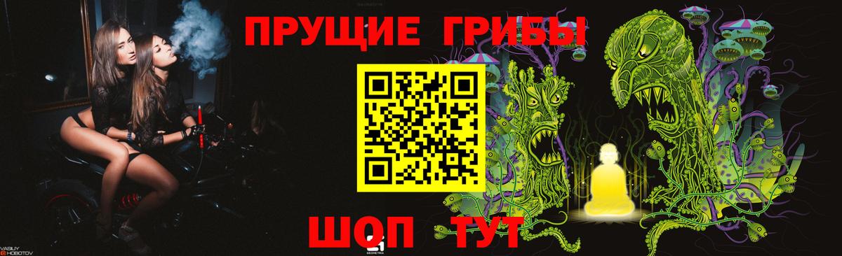 Псилоцибиновые грибы мицелий Чебаркуль